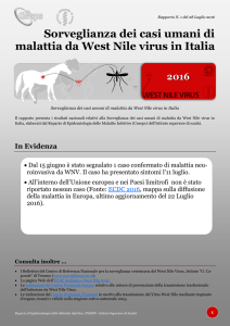 Sorveglianza dei casi umani di malattia da West Nile virus in Italia