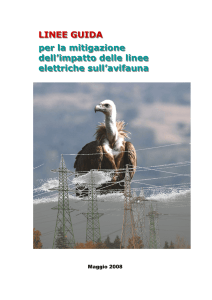 LINEE GUIDA per la mitigazione dell`impatto delle linee elettriche