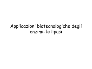 Applicazioni biotecnologiche degli enzimi: le lipasi - e