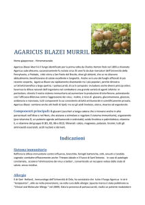 Agaricus Blazei - Erboristeria Sauro