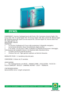 dynel - Ecol