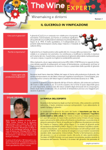 Winemaking e dintorni