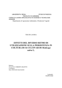 EFFETTI DEL DIVERSO RITMO DI UTILIZZAZIONE SULLA