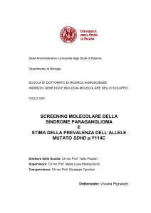 Documento PDF (tesi dottorato)