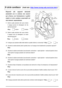 Il ciclo cardiaco (Vedi sito: http://www.icnmp.edu.mx/ciclo.html )