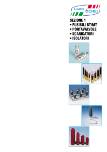 sezione 1 • fusibili bt/mt • portavalvole • scaricatori • isolatori