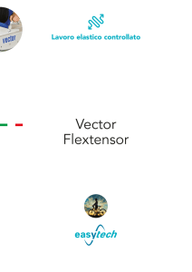 Vector Flextensor - Amazon Web Services