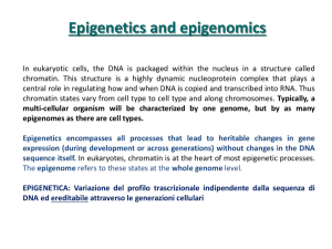 Metilazione del DNA