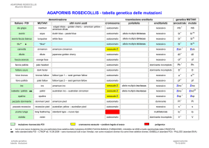 Tabella Genetica delle Mutazioni - Associazione Tuscolana Ornicoltori