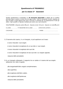 Questionario di TRIANGOLI per la classe 3^ Geometri