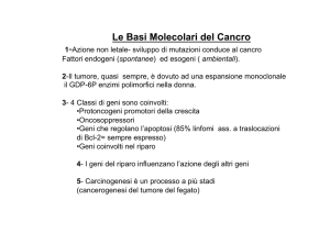 virus oncogeni - Macroarea di Scienze