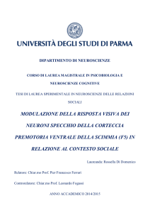 MODULAZIONE DELLA RISPOSTA VISIVA DEI NEURONI