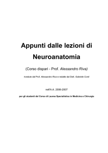 Appunti dalle lezioni di Neuroanatomia