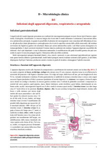 D3 - Infezioni degli apparati digerente, respiratorio e uro