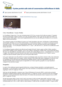 PDF - Uccelli da proteggere