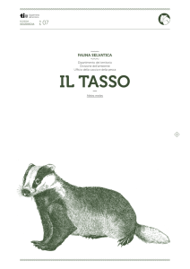 IL TaSSo - Repubblica e Cantone Ticino