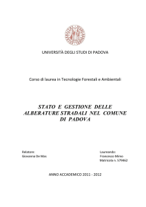 stato e gestione delle alberature stradali nel comune di padova