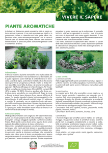 foglio informativo: piante aromatiche