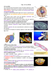 La cellula - Atuttascuola