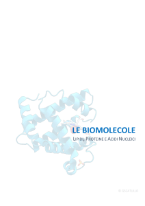 LE BIOMOLECOLE