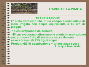 L`ACQUA E LA PIANTA Traspirazione