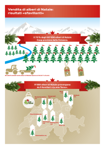 Vendita di alberi di Natale: risultati «sfavillanti