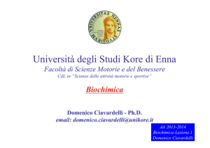 L22_AA2013-14_Biochimica_Lezione3