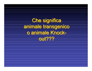 Che significa animale transgenico o animale Knock