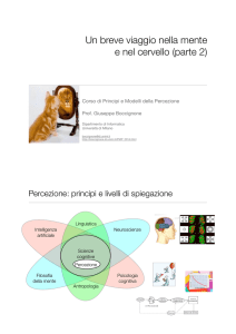 Un breve viaggio nella mente e nel cervello (parte 2)