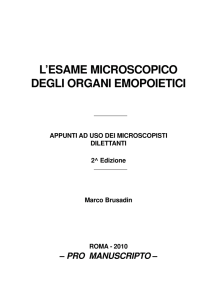 L`esame Microscopico degli Organi Emopoietici.