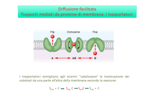 Diffusione facilitata Trasporti mediati da proteine di membrana: i