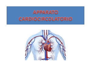 apparato cardiocircolatorio - Fraternita di Misericordia di San Piero