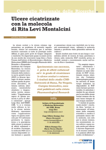 Ulcere cicatrizzate con la molecola di Rita Levi Montalcini