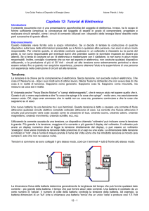 Capitolo 12 - Free-Energy