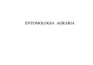 Entomologia agraria