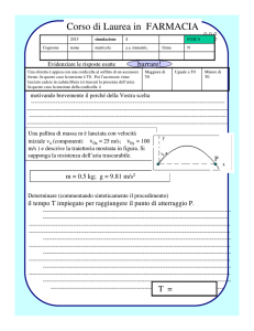 Schede simulazione - Dipartimento di Fisica