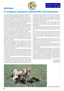 Veterinaria - Club Italiano del Beagle