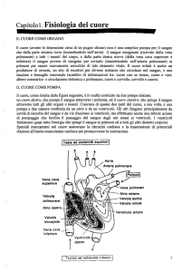 Capitolo 1. Fisiologia del cuore