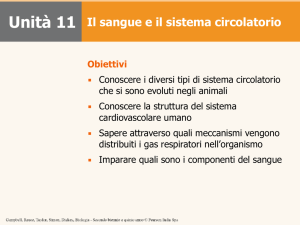 Sistema cardio circolatorio