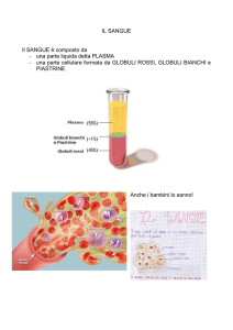 Il sangue  - I.C. Ferrari Pontremoli