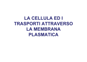 Cellula e trasporti 2012