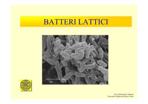 batteri lattici - Centri di Ricerca