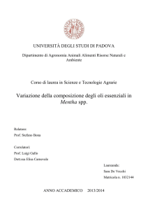 Documento PDF - Padua@Thesis