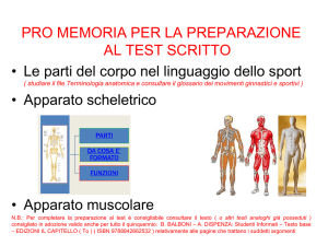 Pro memoria per test su apparato scheletrico e muscolare