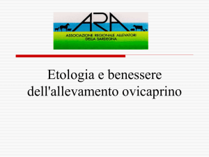 Benessere Animale - Sardegna Agricoltura