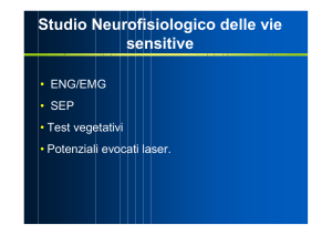 Studio Neurofisiologico delle vie sensitive