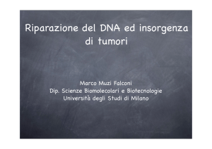 Riparazione del DNA ed insorgenza dei tumori