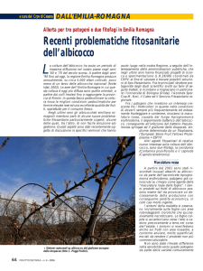 Recenti problematiche fitosanitarie dell`albicocco