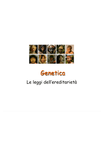 Mendel genetica ed ereditarietà - 2scA