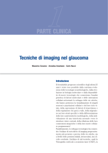 Tecniche di imaging nel glaucoma